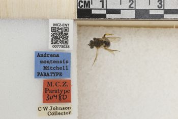 Media type: image;   Entomology 773028 Aspect: Labels